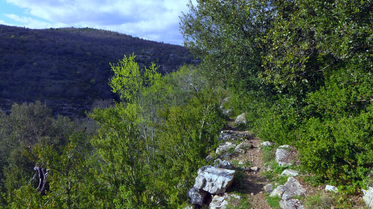 Créations vidéo in situ — résidence itinérante de création, Ardèche, mai 2016